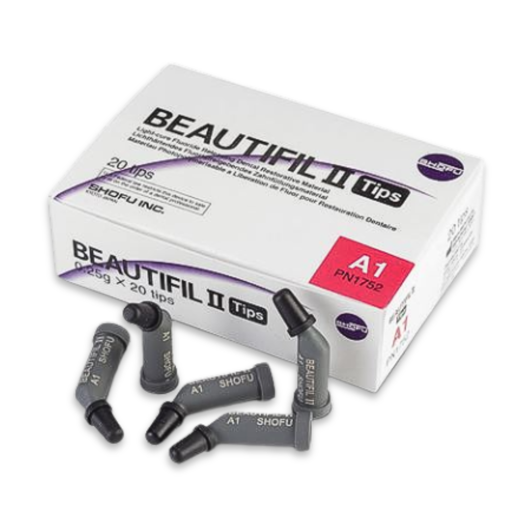 Beautifil II-1