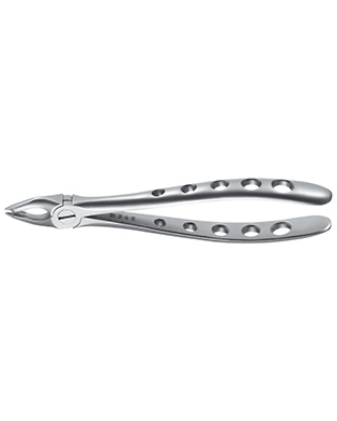 Forceps, Engl. Modèle, fig. 34 incisives supérieures et canines becs spéciaux fins, grande portée, 16cm-0