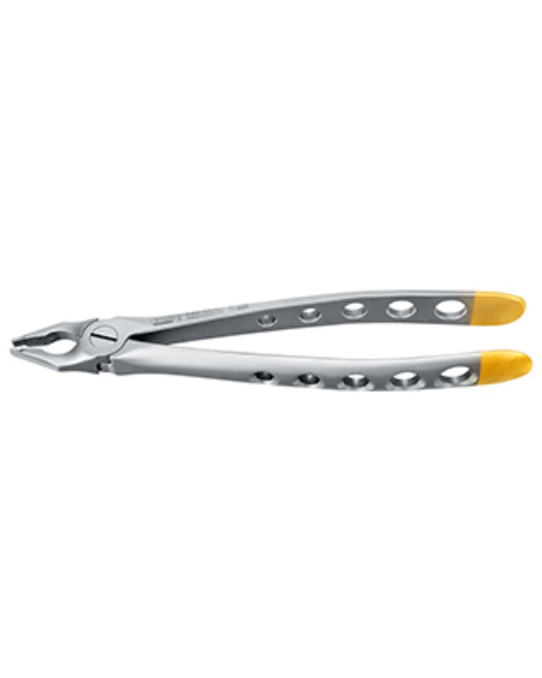 Forceps, Engl. Modèle, fig. 34AD incisives supérieures et canines becs spéciaux larges, grande portée, diamantés, 16cm-0