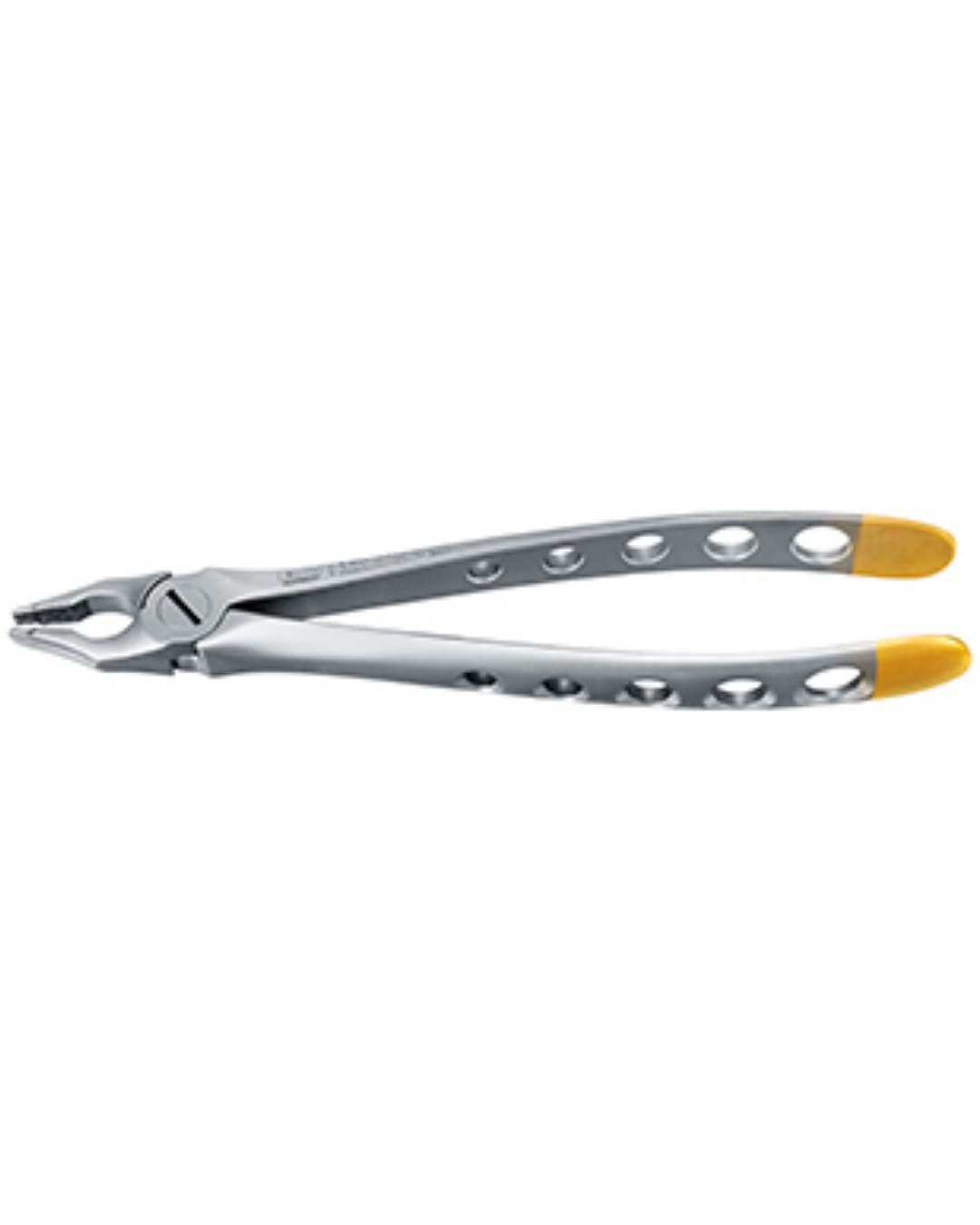 Forceps, Engl. Modèle, fig. 34D incisives supérieures et canines becs spéciaux fins, diamantés, grande portée, 16cm-0