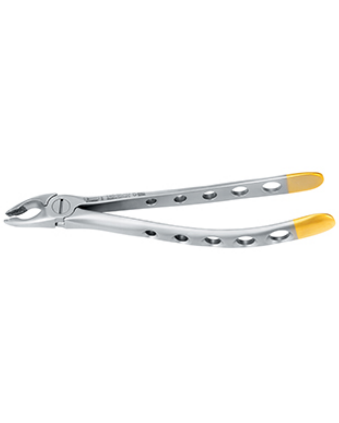 Forceps, Engl. Modèle, fig. 35AD prémolaires supérieures, becs spéciaux larges, grande portée, diamantés, 16cm-0