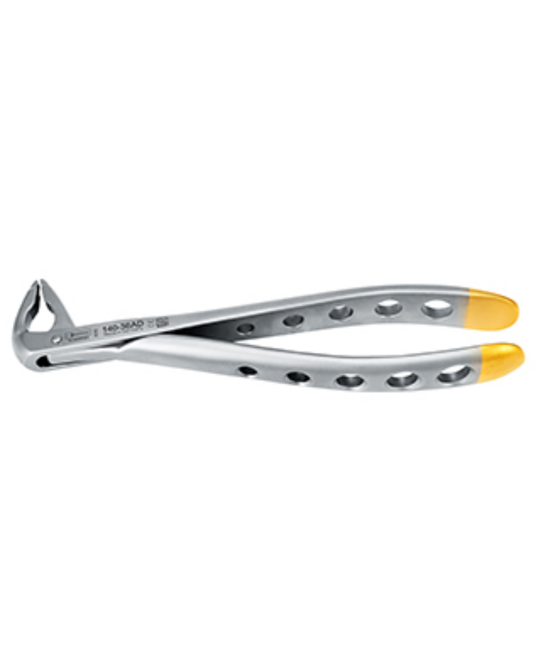 Forceps, Engl. Modèle, fig. 36AD incisives inférieures, becs spéciaux larges, diamantés, grande portée, 16cm-0