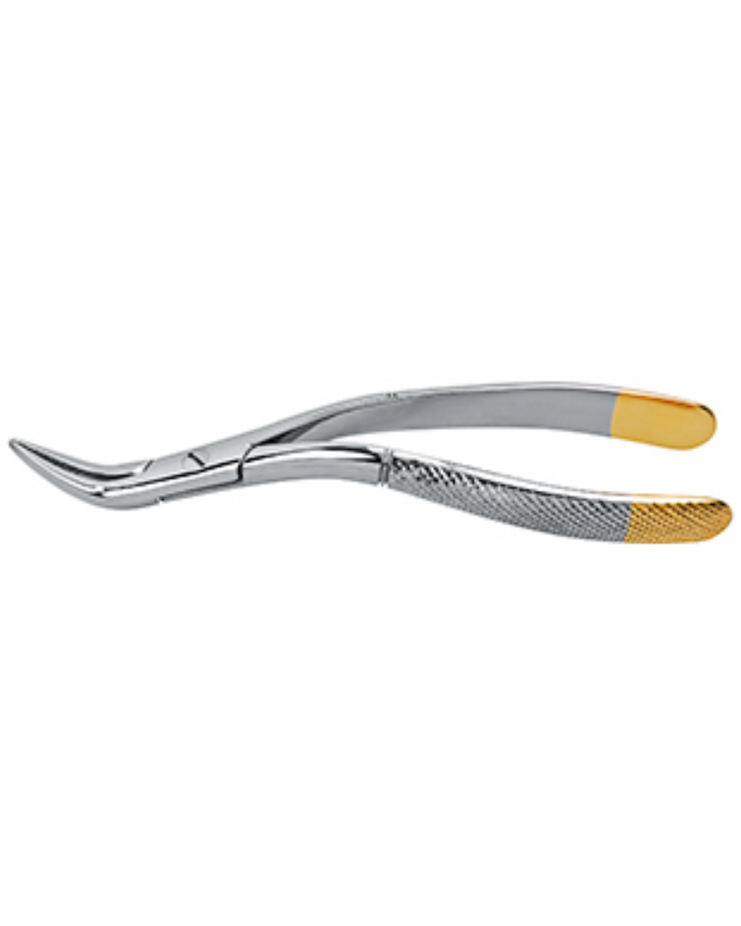 Pince d’extraction de racines, diamant WITZEL, universelle, manche carré, 15,5cm-0