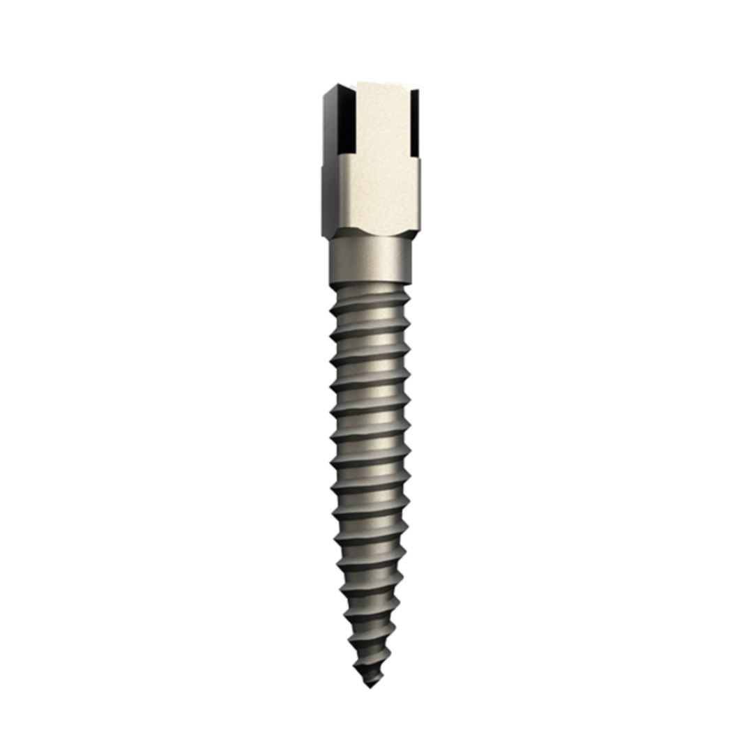 Screw Post - Acier inoxidable-0