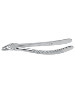 Davier, fig. 7 prémolaires supérieures, manche carré, 16cm