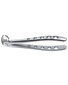 Forceps, Engl. Modèle, fig. 13 prémolaires inférieures Tac-Traction, 14,5cm