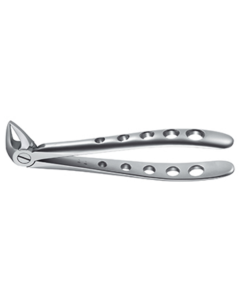 Forceps, Engl. Modèle, fig. 33A incisives inférieures, canines et racines Tac-Traction, 14,5cm