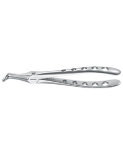 Forceps, Engl. Modèle, fig. 45S racines inférieures, micro dentelé, Tac-Traction, 17,5 cm