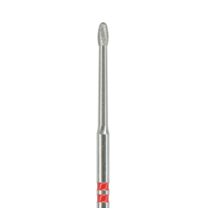 K379L - Oeuf - Z-Cut