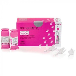 Les recharges Fujicem 2 SL