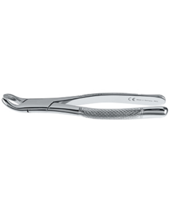 Pince dentaire, modèle Américain, fig. 17 molaires inférieures, manche carré 17,5cm