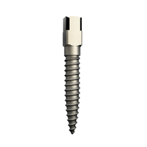 Screw Post - Acier inoxidable