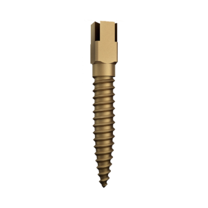Screw Post - Plaqué or