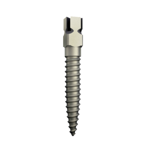 Screw Post - Titane
